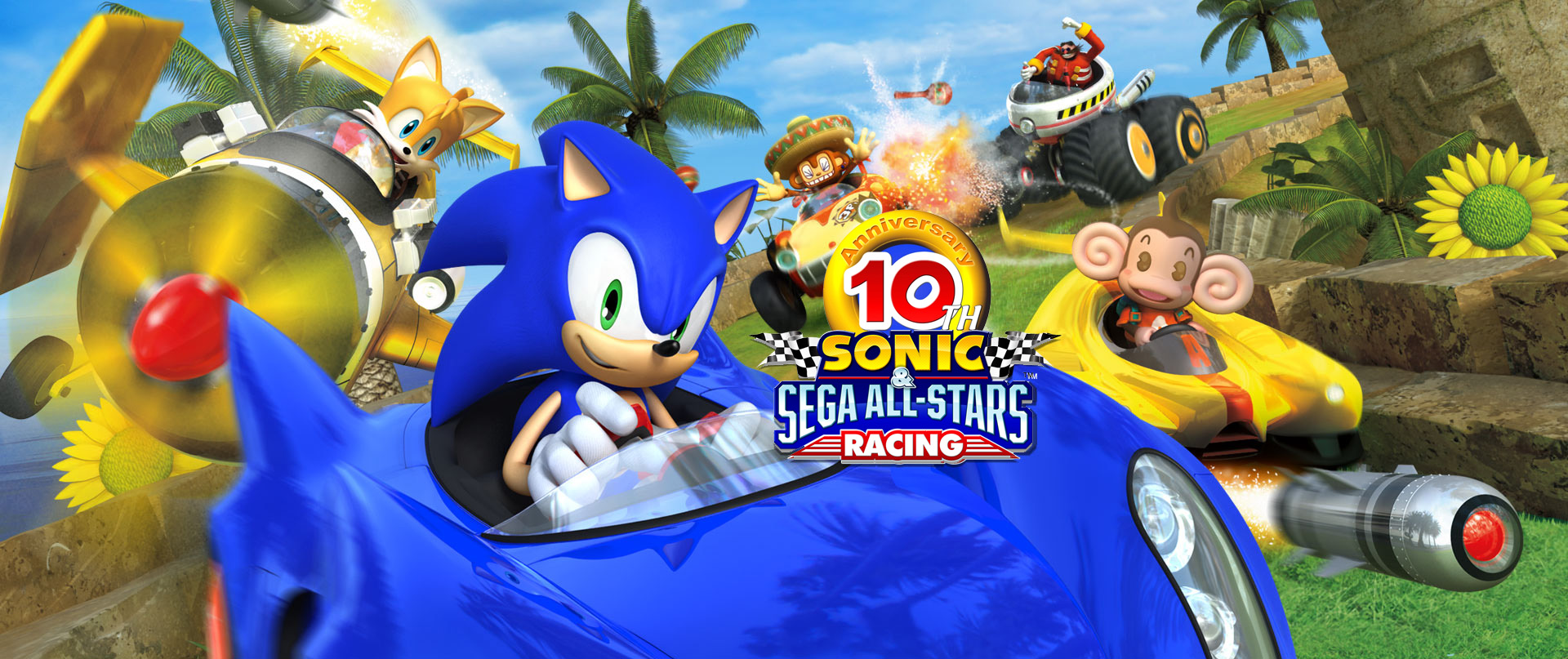 sonic sega all stars racing pc download