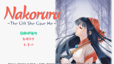 Samurai Shodown Translation