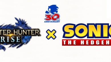 Monster Hunter Rise X Sonic
