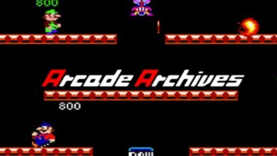 Arcade Archives 300 milestone header.