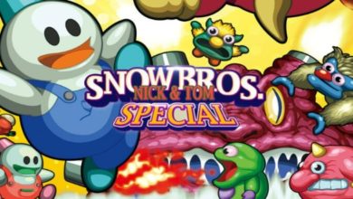 Snow Bros. article header