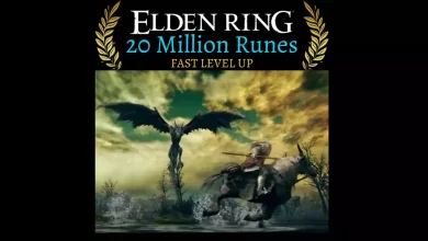 Elden Ring runes ebay