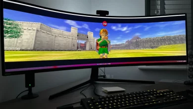 Link on a PC screen from the Ocarina of Time PC port