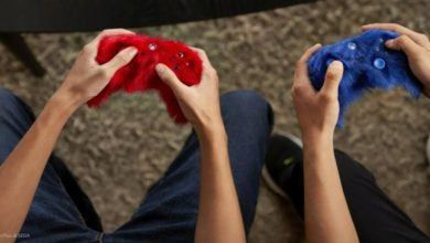 Xbox furry Sonic controller header