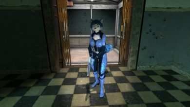 Krystal the Fox in Half-Life 2