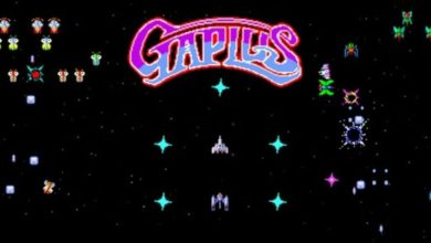 Gaplus Arcade Archives header