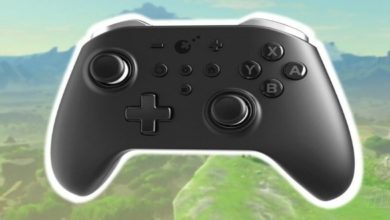 GuliKit Switch controller