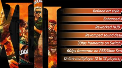 XIII Remake logo with the different remake plans laid out beside the logo