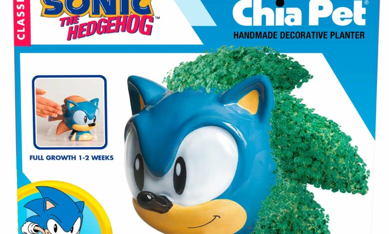 Sonic Chia Pet