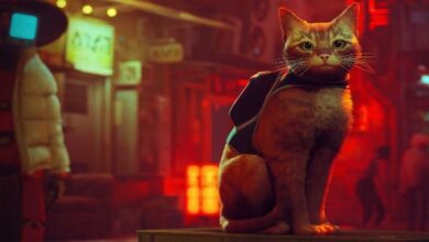 Stray physical edition header