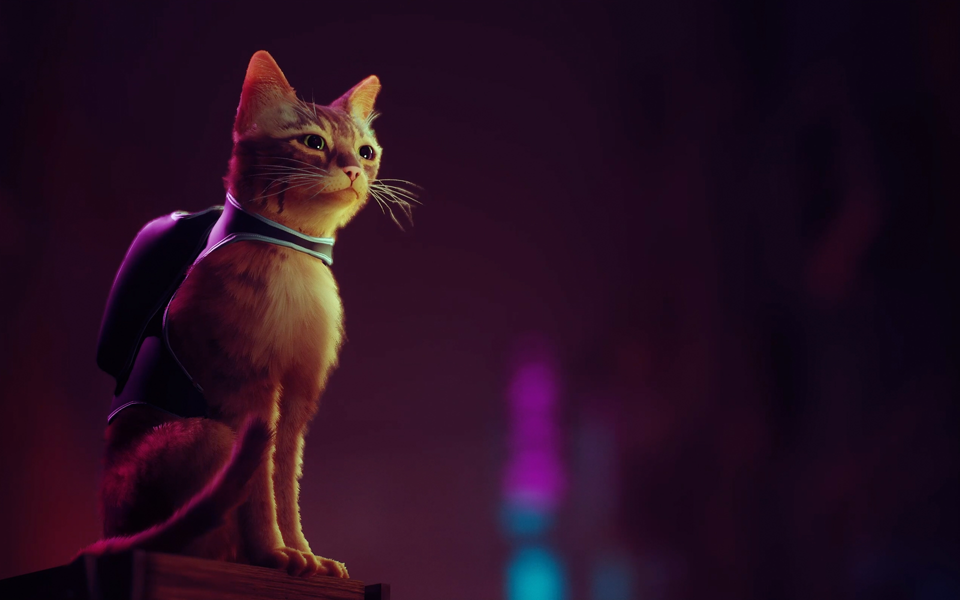 Stray' Review (PS5): A Near-Purrfect Indie Debut