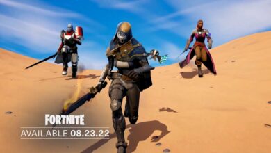 Destiny 2 X Fortnite