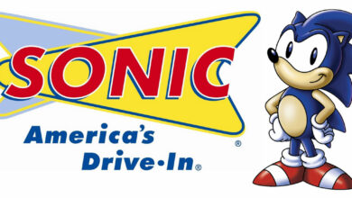 Sonic The Hedgehog and Sonic