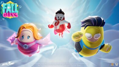 Invincible Fall Guys