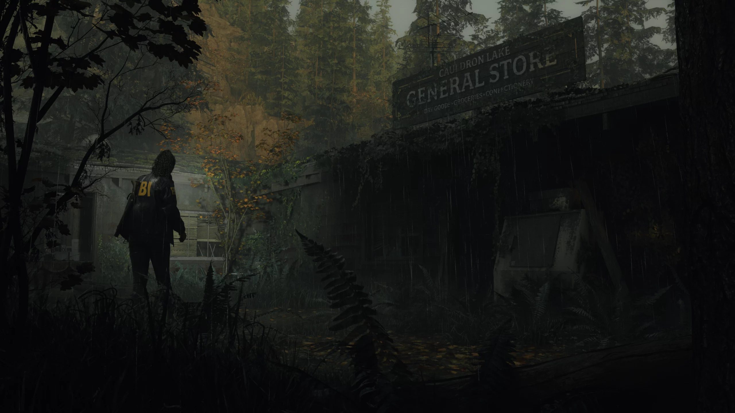 Alan Wake Forest Shack